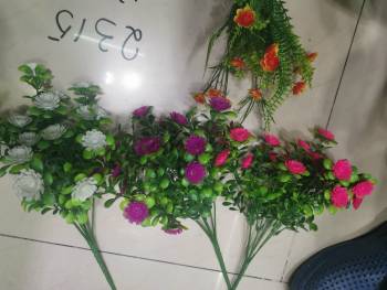 product_picUrl
