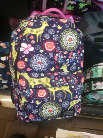 product_picUrl