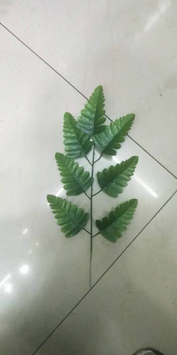 product_picUrl