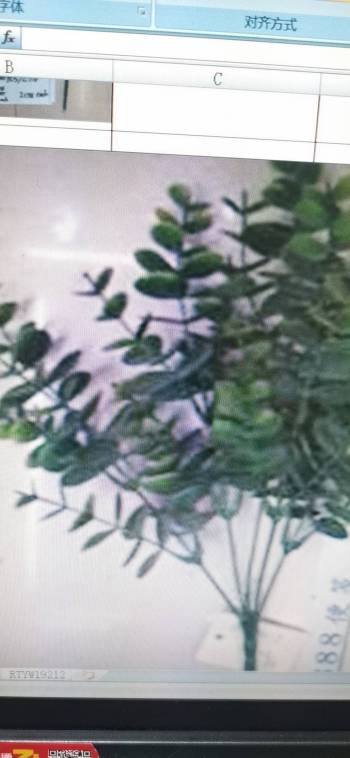 product_picUrl