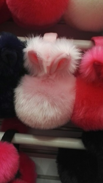 product_picUrl