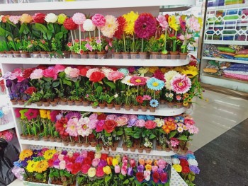 product_picUrl
