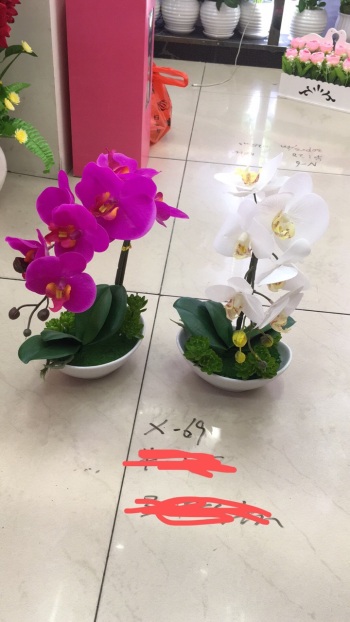 product_picUrl