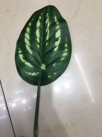 product_picUrl
