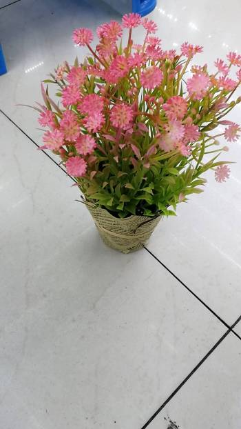 product_picUrl