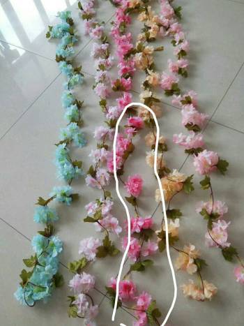 product_picUrl
