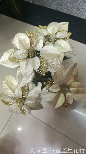 product_picUrl