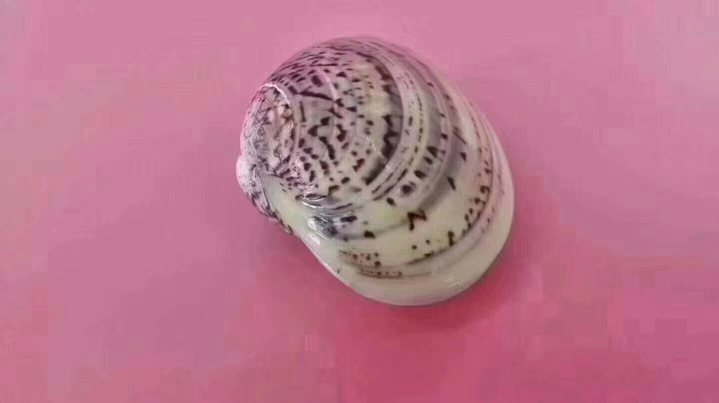 product-thumb