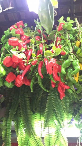 product_picUrl