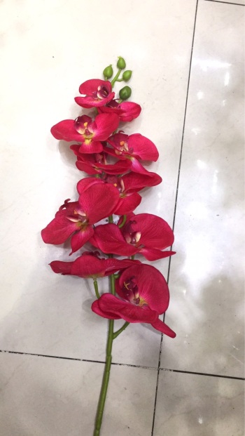 product_picUrl