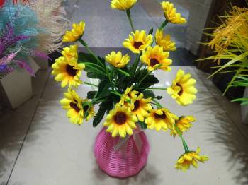 product_picUrl