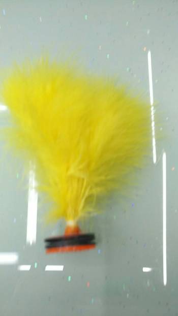 product_picUrl