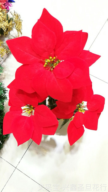 product_picUrl