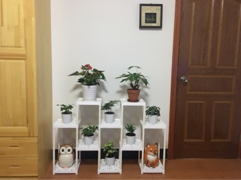 product_picUrl