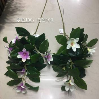 product_picUrl