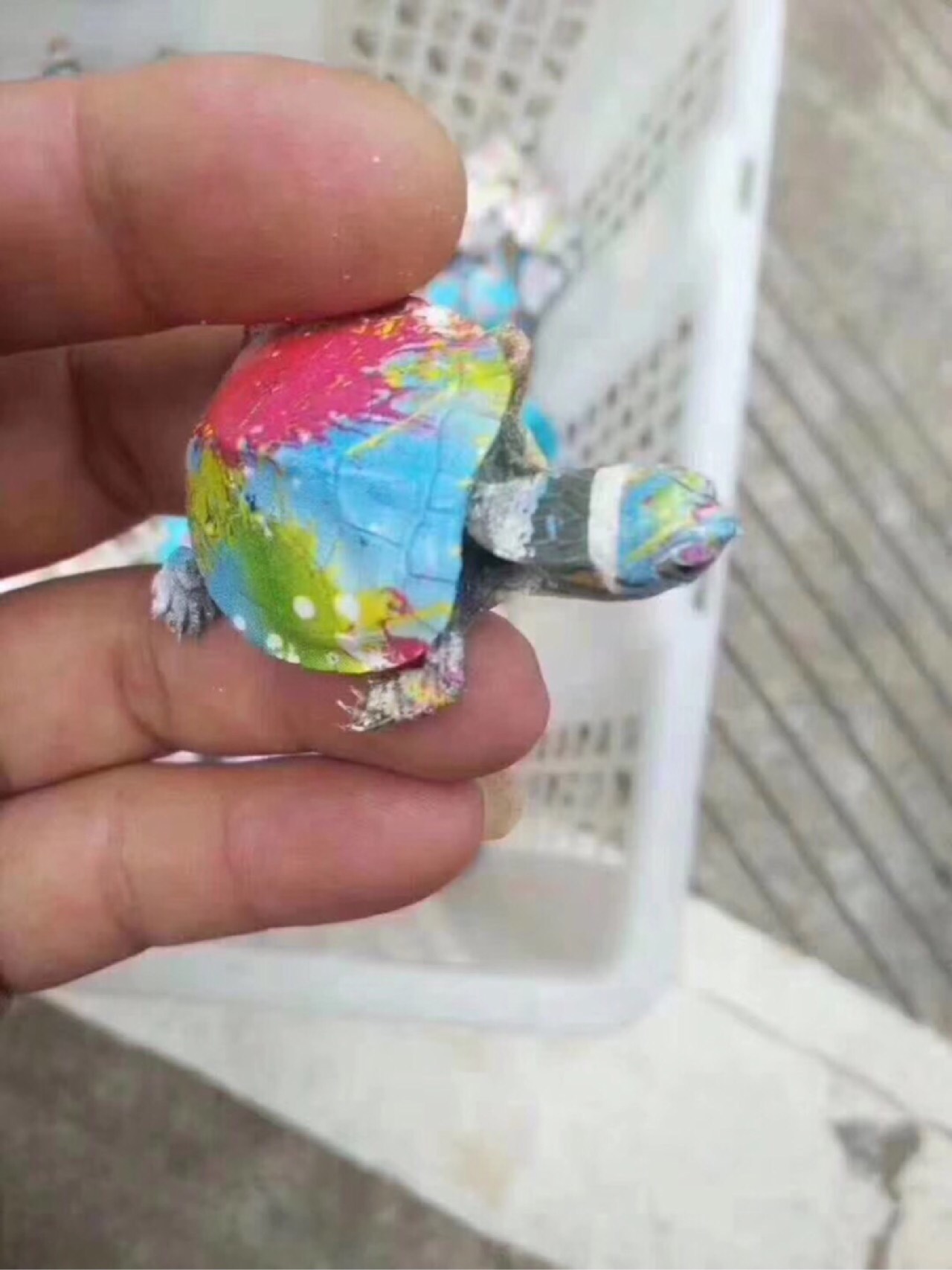 product-thumb
