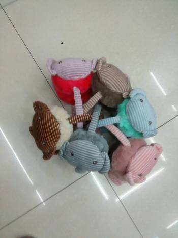 product_picUrl