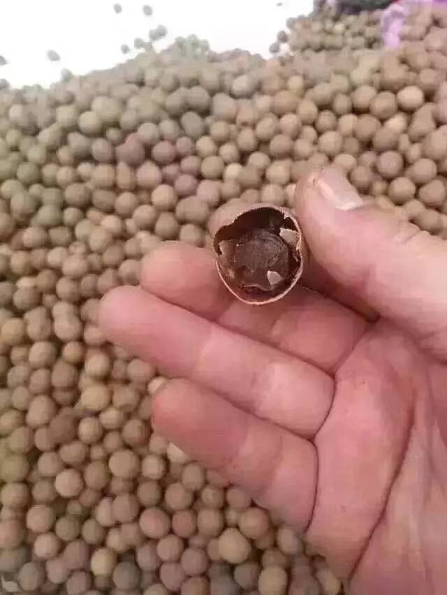 product-thumb