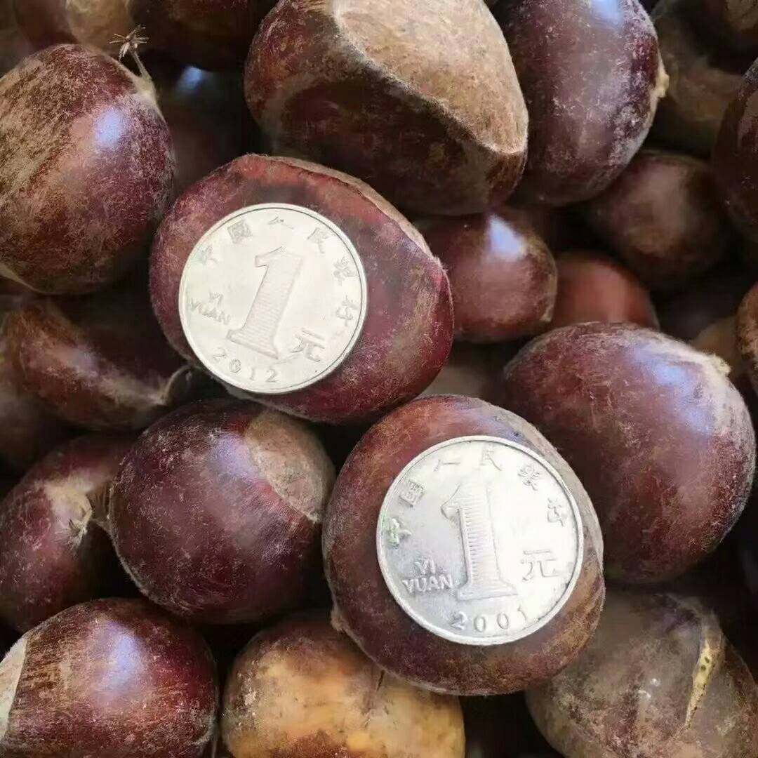 product-thumb