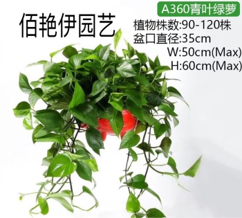 product_picUrl