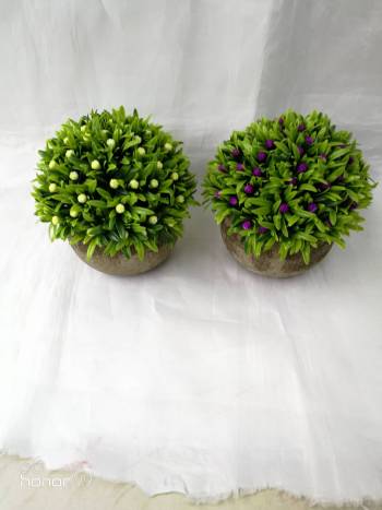 product_picUrl