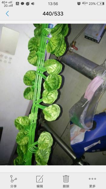 product_picUrl