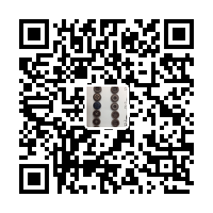 义乌浙黔纽扣辅料