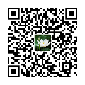 中拓贸易