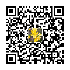 亲帅婴童用品