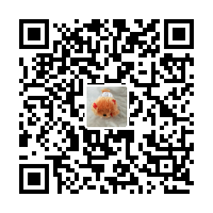 雅琴玩具