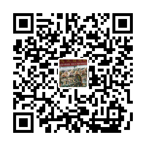 鸿运招财树
