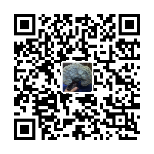 悠然PVC烫金桌布厂家