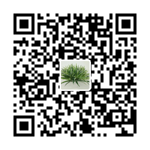 宝永仿真植物