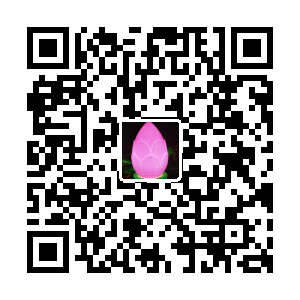 广东锐明科技有限公司