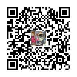 丽成玩具