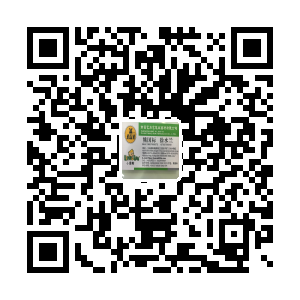 南昌艺加艺画笔有限公司