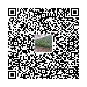 双木林苗木基地