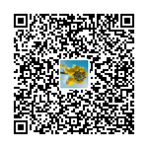 新鸿水暖
