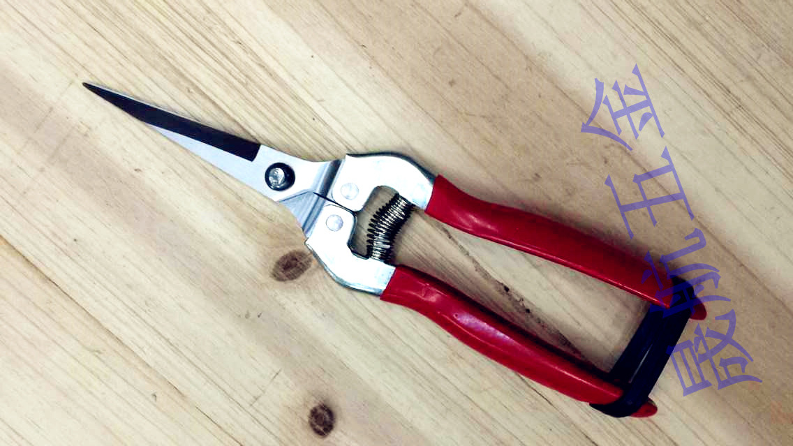 product-thumb