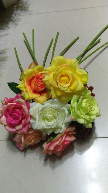 product_picUrl