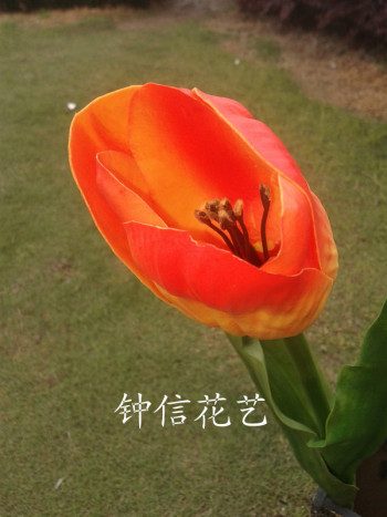 product_picUrl