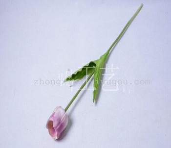 product_picUrl