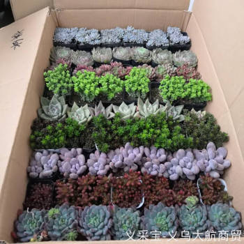 product_picUrl