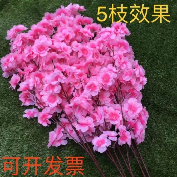 product_picUrl