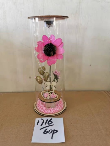 product_picUrl