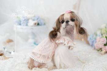 product_picUrl