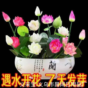product_picUrl