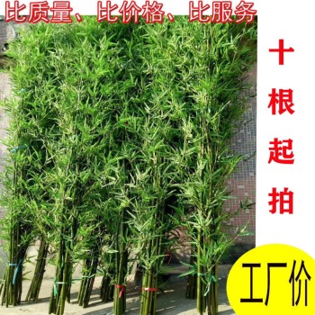 product_picUrl