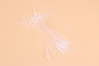 product_picUrl