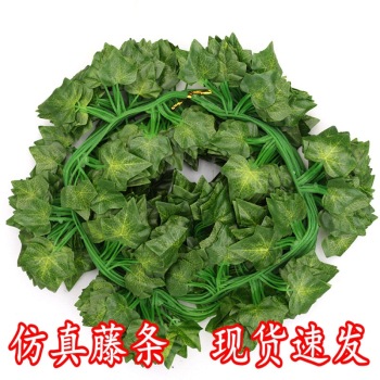 product_picUrl